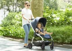 Delta Children Revolve Reversible Stroller