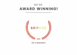 Delta Children Bassinets Deluxe Moses Bassinet