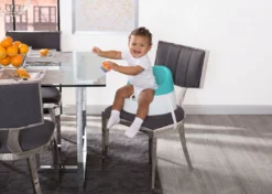 Delta Children Classic Booster Seat High Chairs & Boosters
