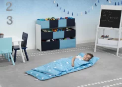 Delta Children Nap Mat With Included Pillow And Blanket For Toddlers And Kids What's New