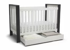 Delta Children Under Crib Roll-Out Storage Trundle 21 Delta Children Under Crib Roll-Out Storage Trundle