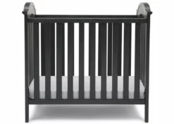 Delta Children Farmhouse Mini Baby Crib With 2.75-inch Mattress Baby Cribs