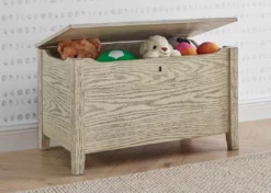 Delta Children Farmhouse Toy Box Storage & Organization