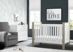Delta Children Baby Cribs Miles 4-in-1 Convertible Crib