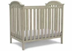 Delta Children Farmhouse Mini Baby Crib With 2.75-inch Mattress Baby Cribs
