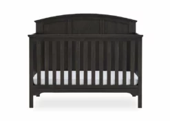 Delta Children Sweet Beginnings Sage Curve Top 6-in-1 Convertible Crib