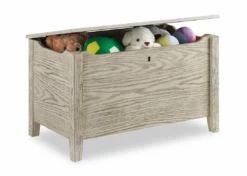 Delta Children Farmhouse Toy Box Storage & Organization