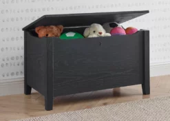 Delta Children Farmhouse Toy Box Storage & Organization